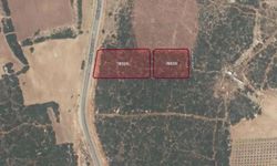 Didim’de satış kararı.. Özelleştirme İdaresi yeni arsaları ihaleye çıkardı