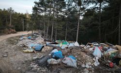 Doğanın kalbine çöp doldurdular