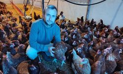 Ev kiraları yükselince köye dönüp tavuk çiftliği kurdu