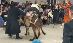 İlginç damat eğlencesi.. Eşekle salona girdi, kadın kıyafeti giydiler