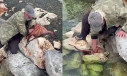 Kayalıktaki dev ahtapotu elleriyle avladı