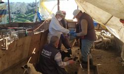 Koçarlı’da veba ve çiçek hastalığı için ekipler harekete geçti