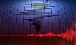 Komşu ildeki deprem Aydın’ı da salladı