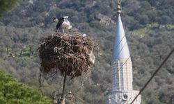 Leyleği ilk görene 1 çuval un kampanyası tamamlandı