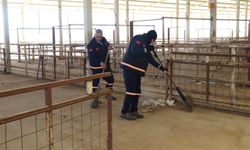 Nazilli Hayvan Pazarı 7 ay sonra yeniden açılıyor