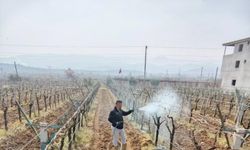 Ölükol hastalığı için alarm durumuna geçildi