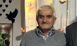 Ormanda burçak toplarken vuruldu: 1 kişi tutuklandı