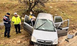 Otomobil şarampole uçtu