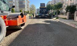 Topuklu Efe’den 17 ilçede eş zamanlı çalışma