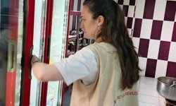 Aydın'da işletmeler tek tek incelendi