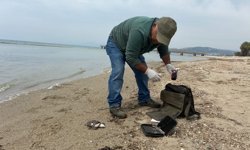 Sahile vurdular! Uzmanlar harekete geçti