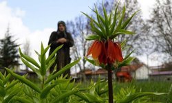 Ağlayan gelinler 5 yıl sonra baharı karşıladı