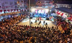 Aydın Sultanhisar’da çilek festivali başlıyor