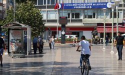 Aydın’a yeni yabancılar geldi