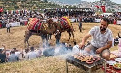 Aydın’da deve güreşi tarihi belli oldu