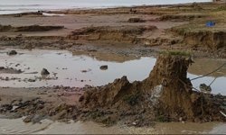 Aydın’da fırtına sonrası kemikler ortaya çıktı, inceleme başladı