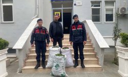 Aydın’da incir bahçesinde suçüstü basıldı