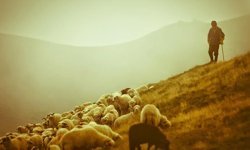 Aydın’da kurs başlıyor