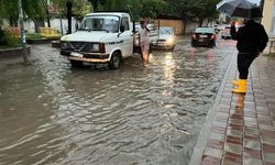 Aydın’da metrekareye 25 kilo yağış düştü