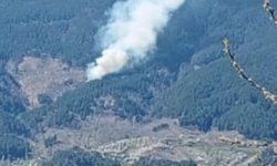 Aydın’da orman yangını çıktı