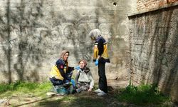 Aydın’da ot toplayan 80 yaşındaki kadın 5 metreden düştü