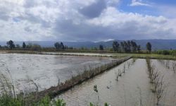 Aydın’da tarım arazileri sular altında kaldı
