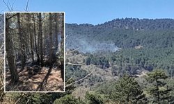 Aydın’daki yangında 7 dekar karaçam ormanı zarar gördü