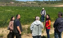 Aydın’dan Manisa’ya incir desteği