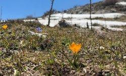 Bahar ve kış mevsimi aynı anda görüntülendi, ortaya eşsiz manzara çıktı