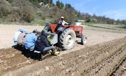 Çiftçinin tütün mesaisi başladı