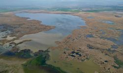 Eber Gölü'nden iyi haber geldi