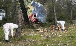 Ekipler çalışma başlattı