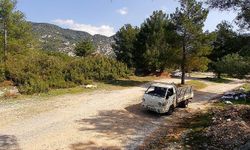 Fotokapana yakalandılar