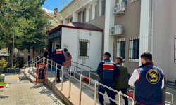 Genç kadınla ilgili acı gerçek ortaya çıktı