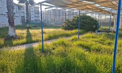 Germencik Belediyesi harabeye çevirdi, Büyükşehir yeniden halka kazandıracak