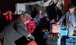 Kazada çevreye dağılan elmaları köy sakinleri topladı