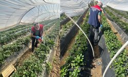 Köşk'ten Sultanhisar'a çapraz denetim