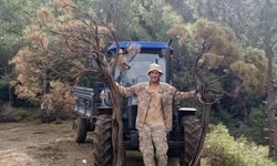 Kuru geven bitkisi köylünün gelir kaynağı oldu