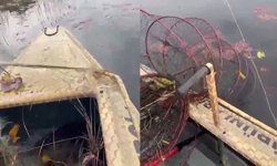 Nilüfer Cenneti’nde kaçak avcılığa dur denildi