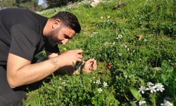 Ömrü 10 gün, koparmanın cezası araba parası