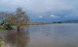 Ovalar bereketle doldu