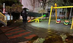 Parkta oynayan 2 yaşındaki çocuğu yaraladı