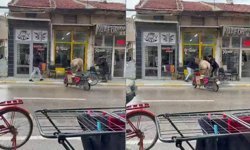 Firar eden inek berbere gitti