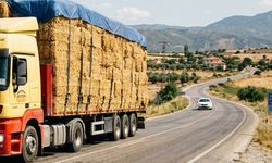 Saman yüklü tırlarda ele geçirildi