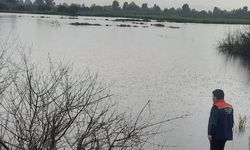 Söke’de zarar büyük