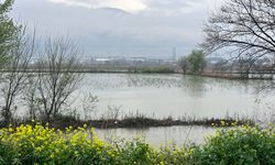 Taşkın yerleşim alanlarına ulaştı