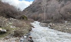 Dere gürül gürül akıyor, vatandaş mutlu
