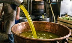 Aydın’da 6 bin litre sahte zeytinyağı yakalandı