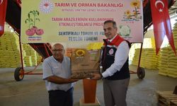 Aydın’da 9 bin kilo ayçiçeği dağıtıldı