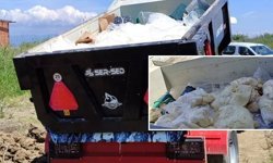 Aydın’da mide bulandıran görüntüler.. 11 ton süt ürünü imha edildi